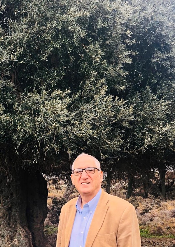 Adnan Vardarlı Oliveray